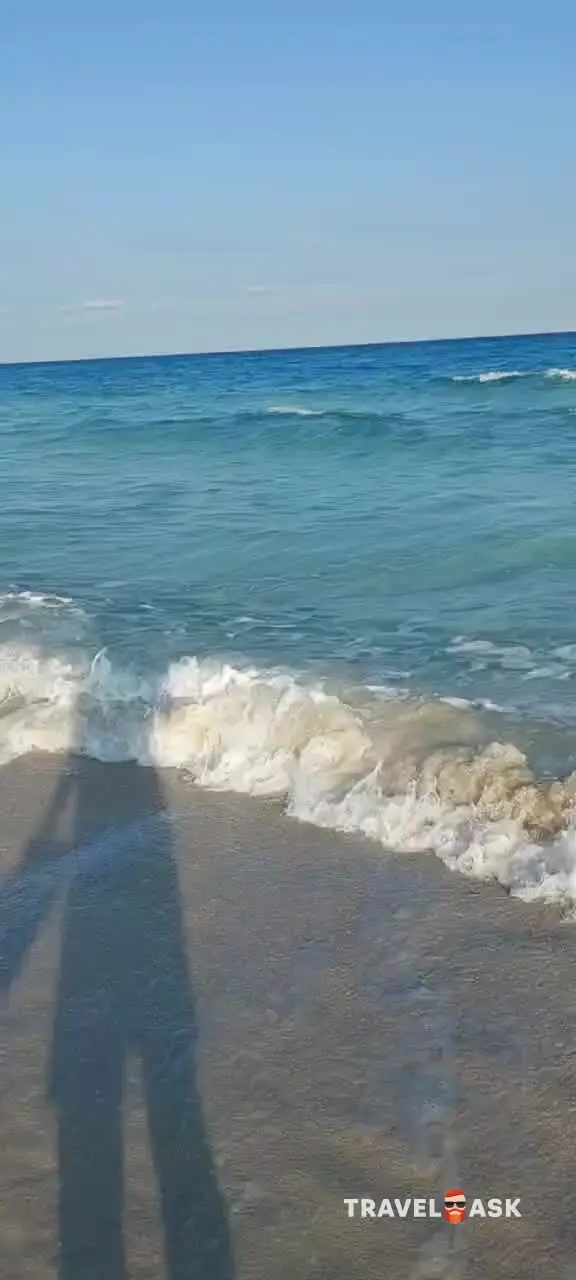 video__preview