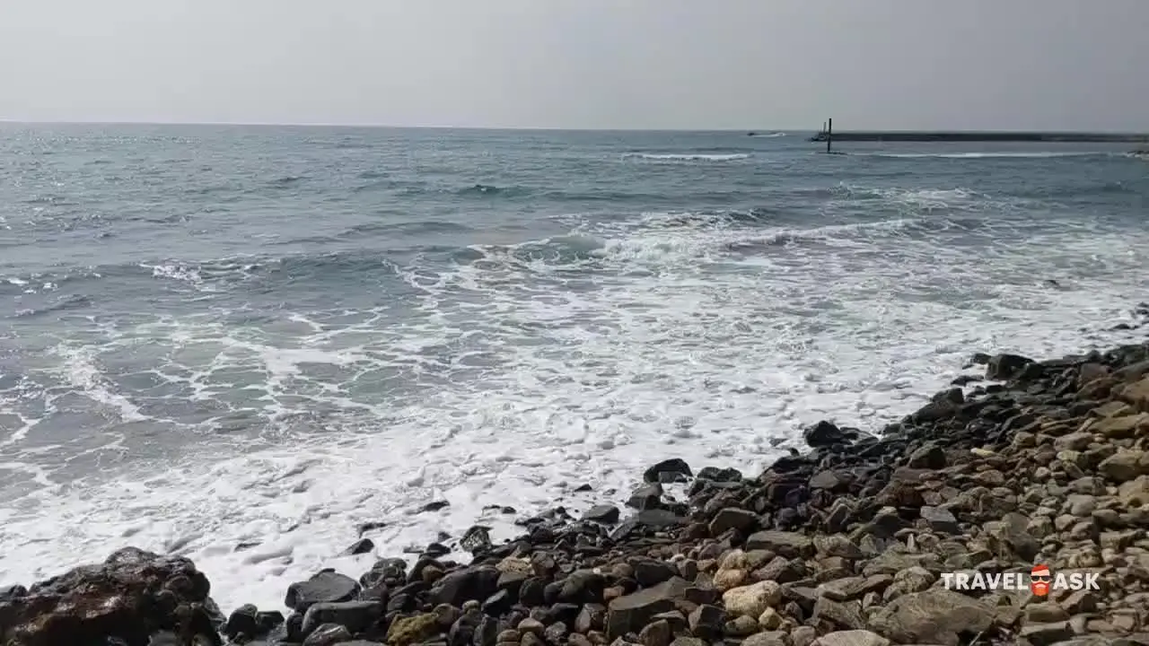 video__preview