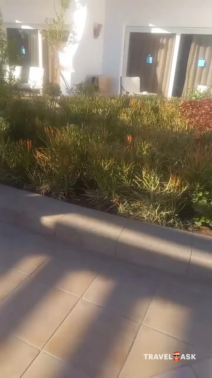 video__preview