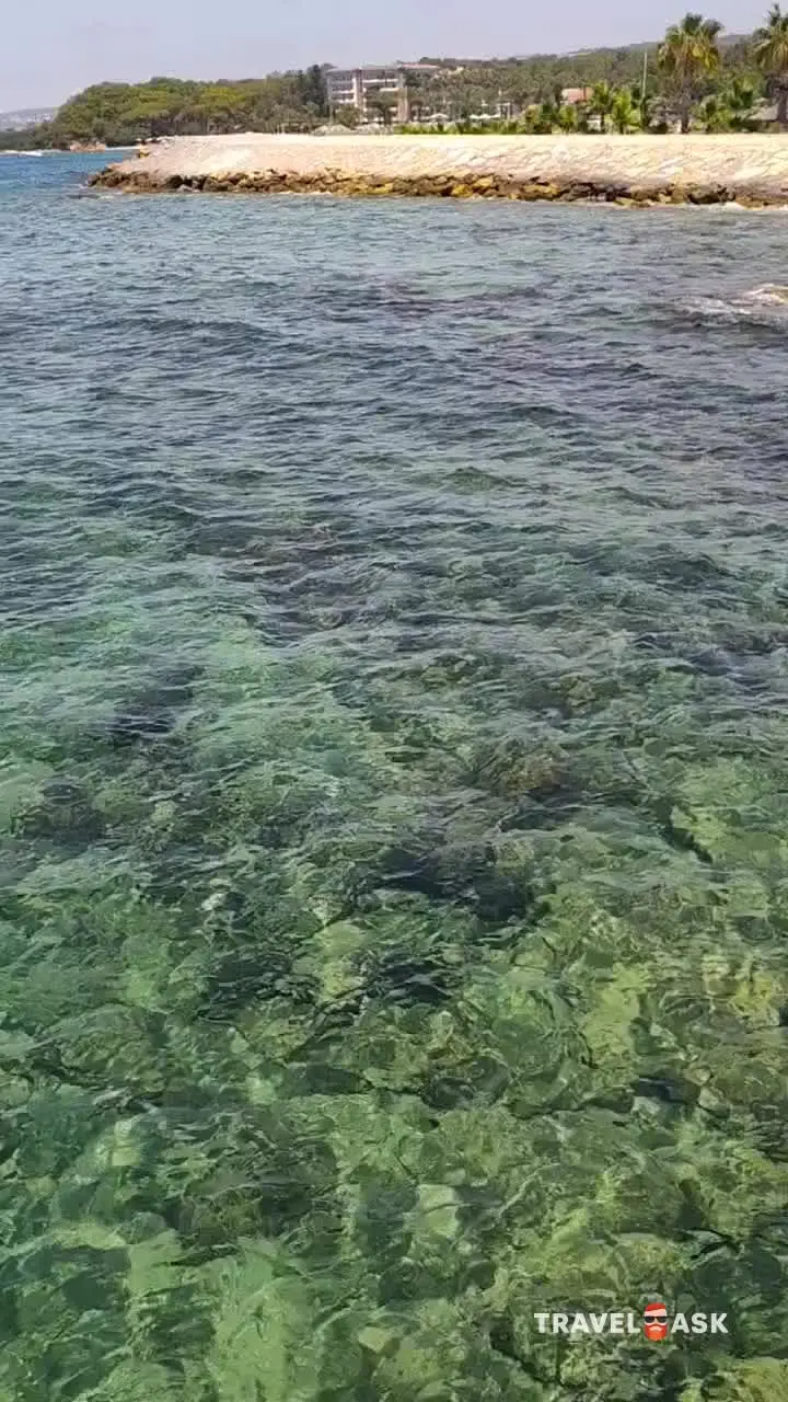 video__preview