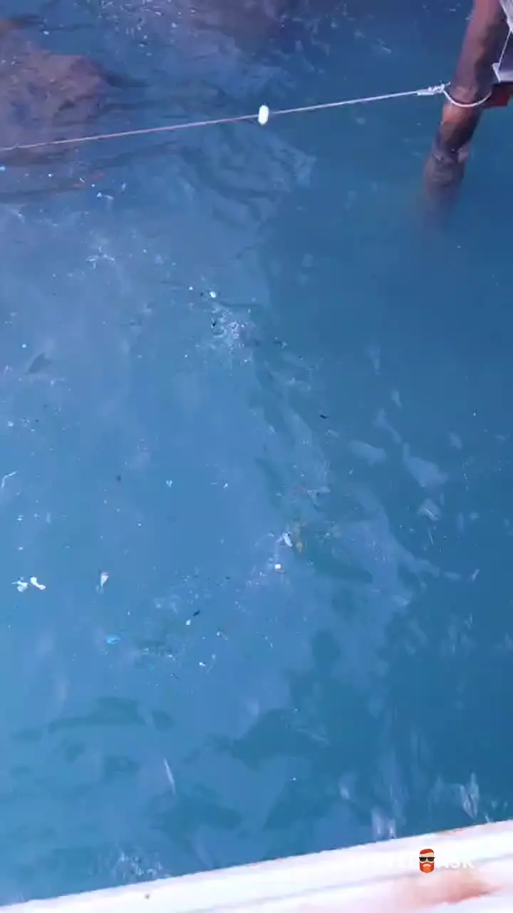 video__preview
