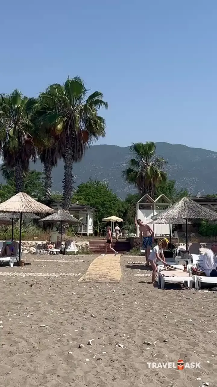 video__preview