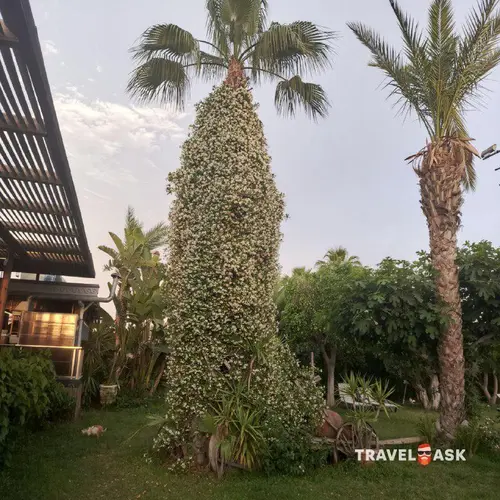 Club Hotel Caretta Beach