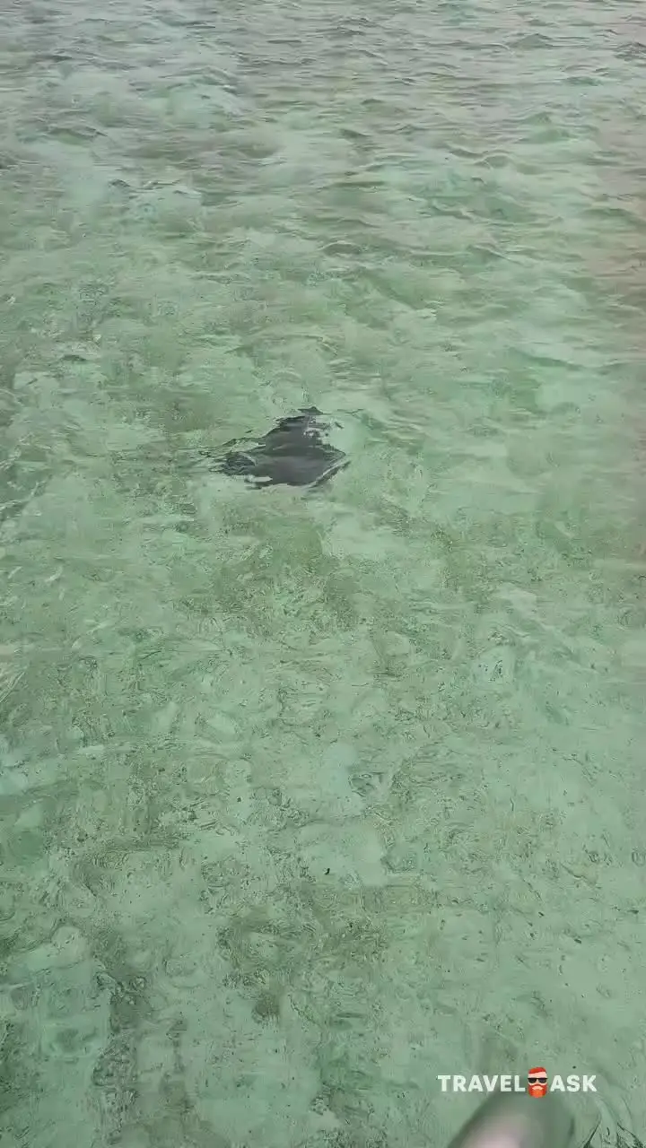 Le Meridien Maldives Resort & Spa