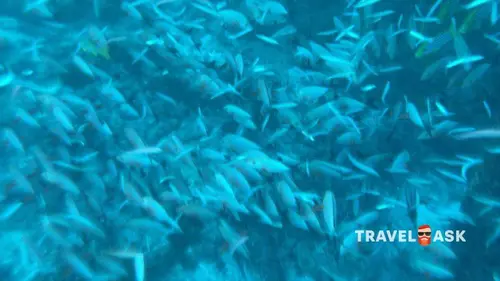 Siyam World Maldives