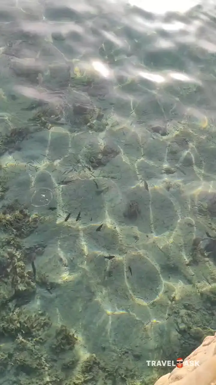 Sunrise Aqua Joy Resort