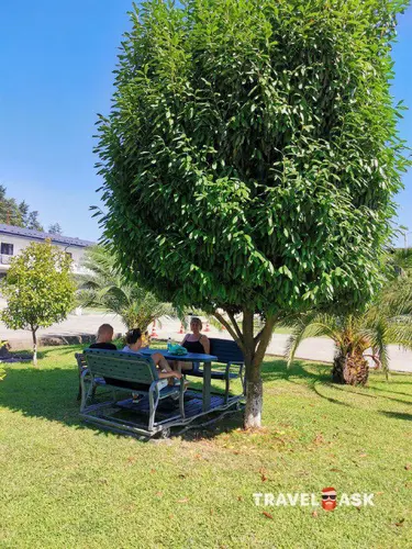 Отель Black Sea