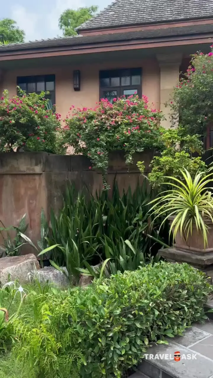 video__preview