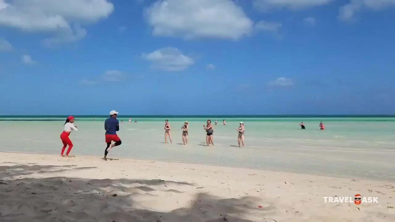 video__preview
