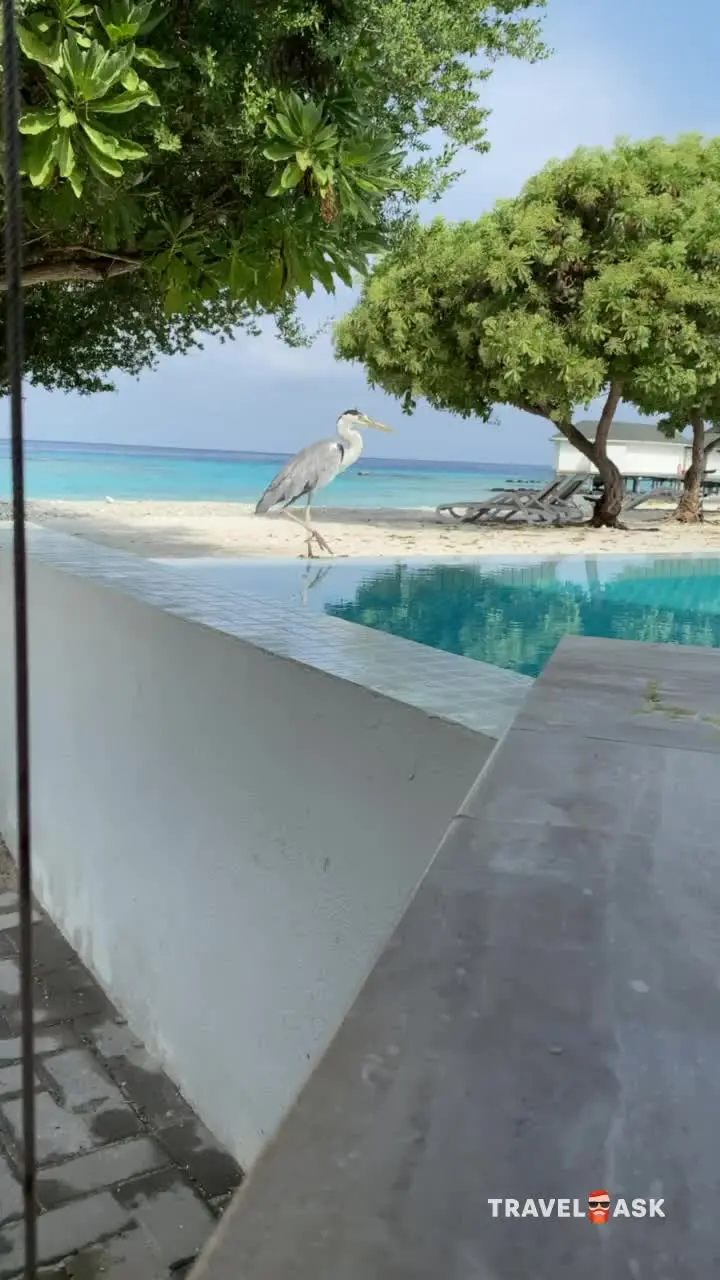 Cinnamon Dhonveli Maldives (Ex.Chaaya Island Dhonveli)