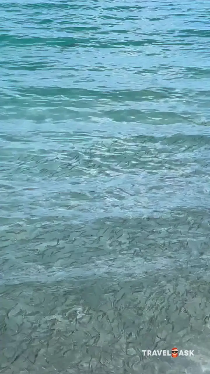 video__preview