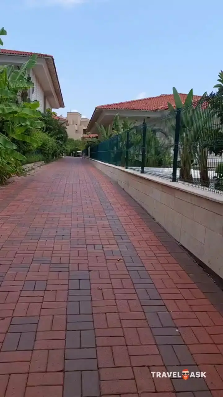 video__preview