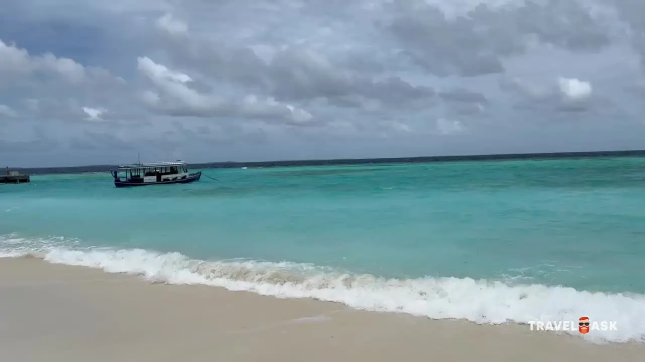 video__preview