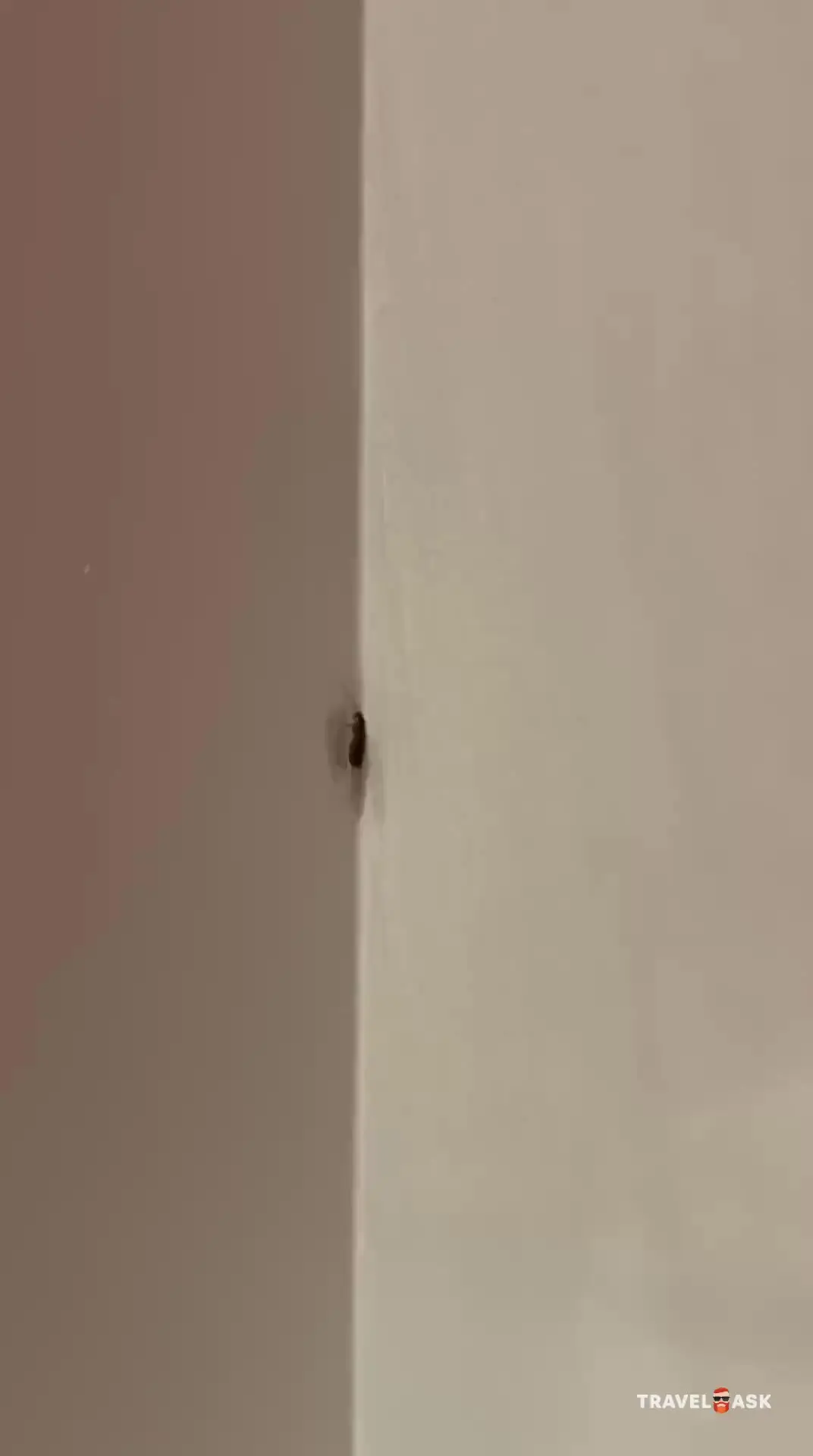 MD Hotel By Gewan (Ex.Cassells Al Barsha Hotel)