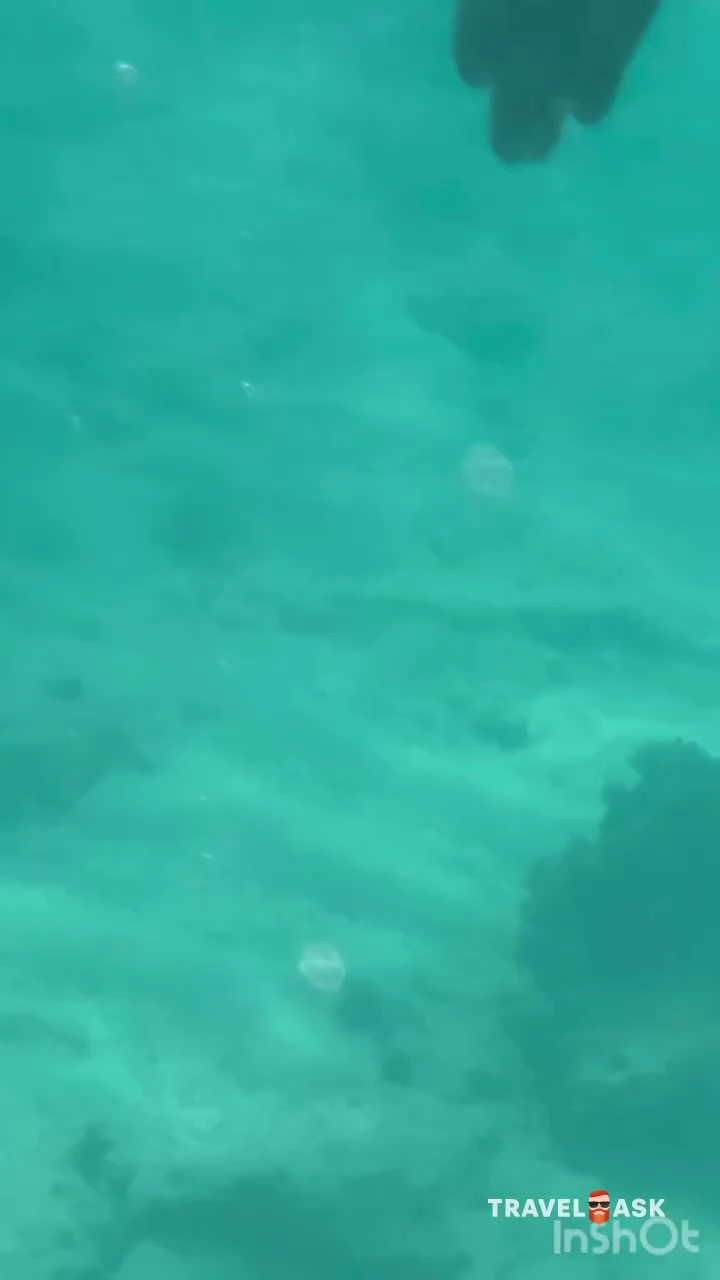 video__preview