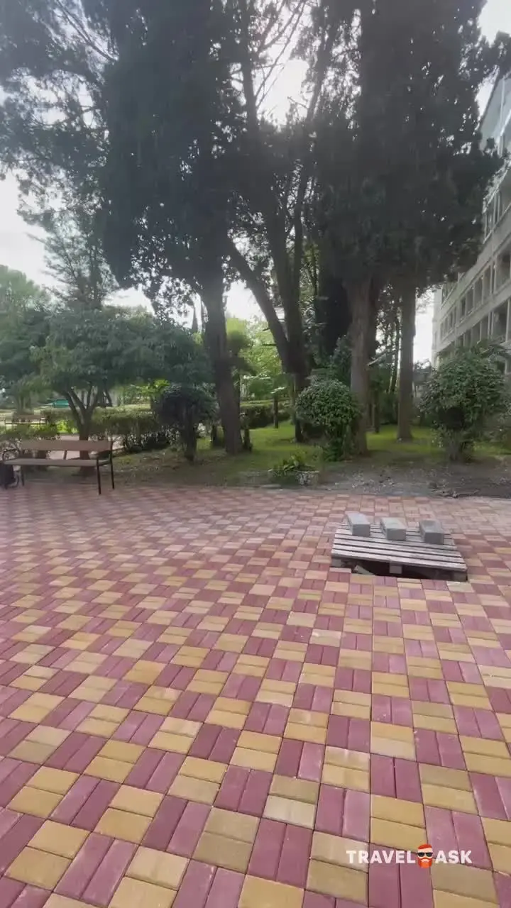 video__preview
