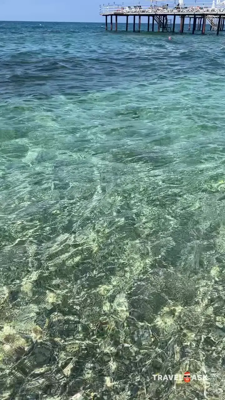 video__preview