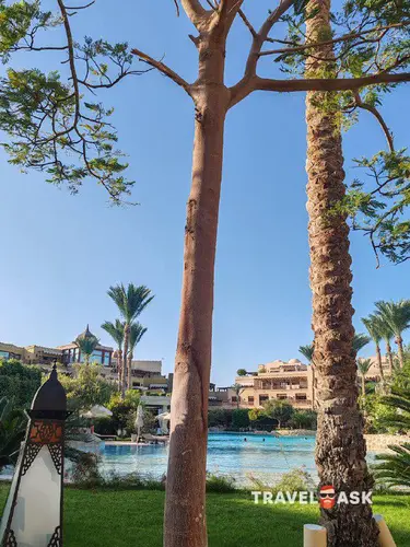 Makadi Spa (Adults Only 18+)