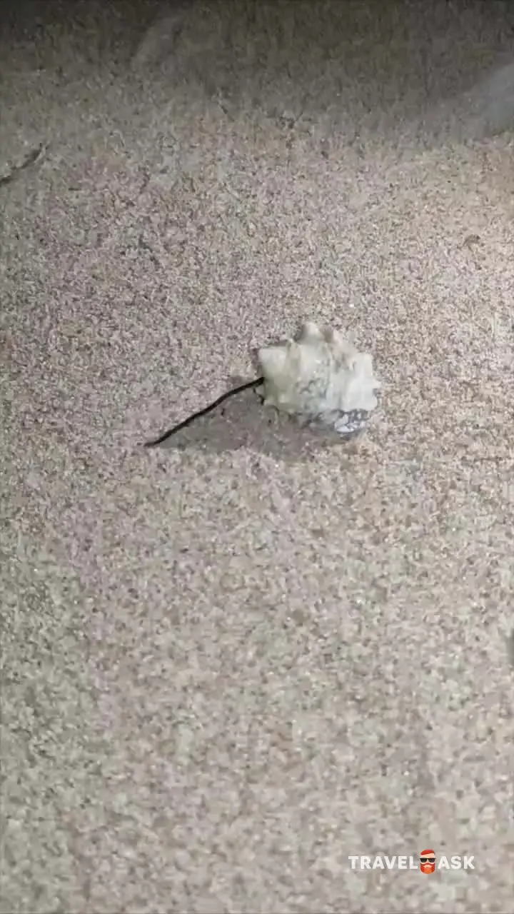 Amwaj Beach Club Abu Soma (Ex. Amwaj Blue Beach Resort & Spa – Abu Soma)