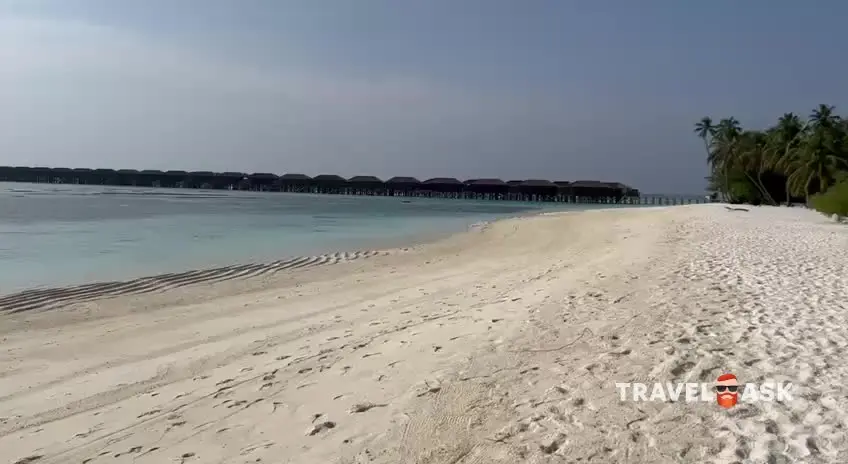 video__preview