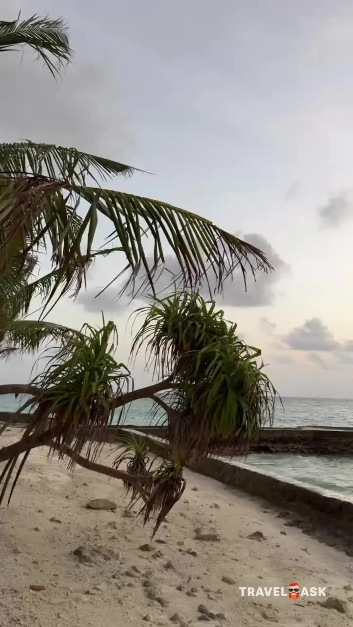 Coco Bodu Hithi (Ex. Coco Palm Bodu Hithi)