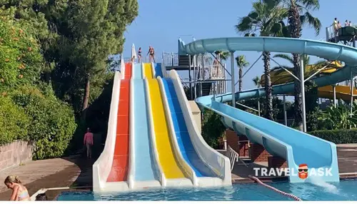 Paloma Oceana