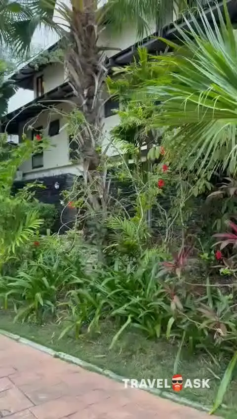 video__preview