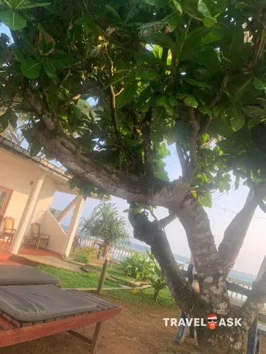 Shanthi Beach Resort