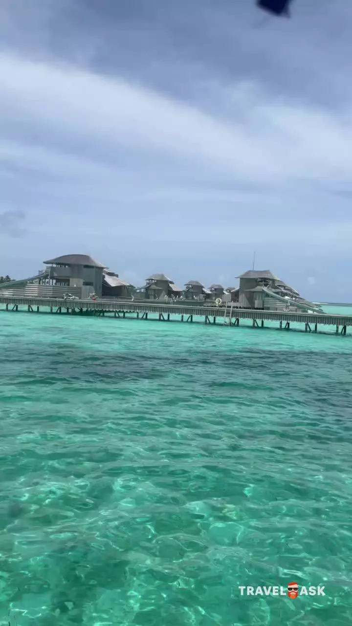 video__preview