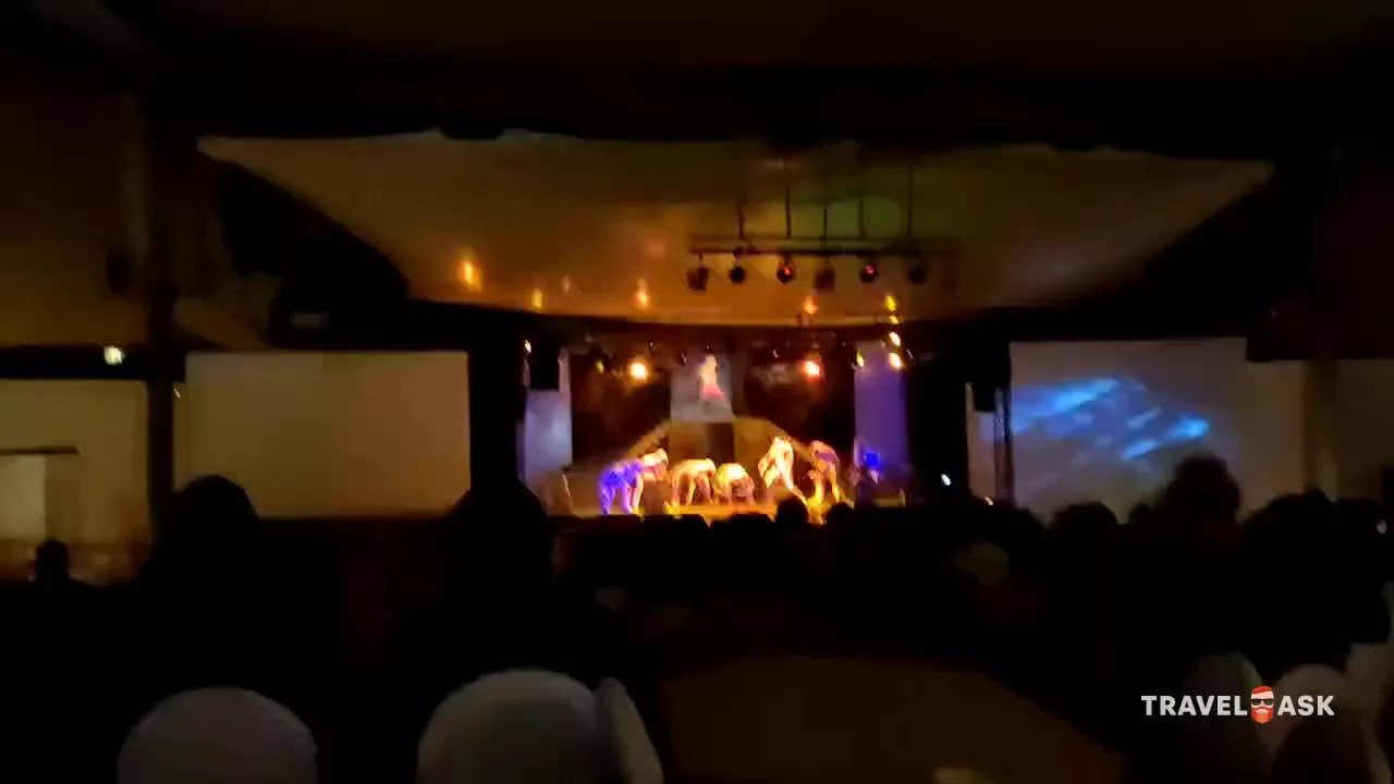 video__preview