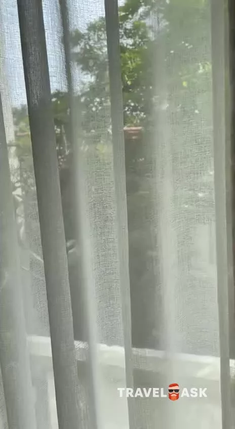 video__preview