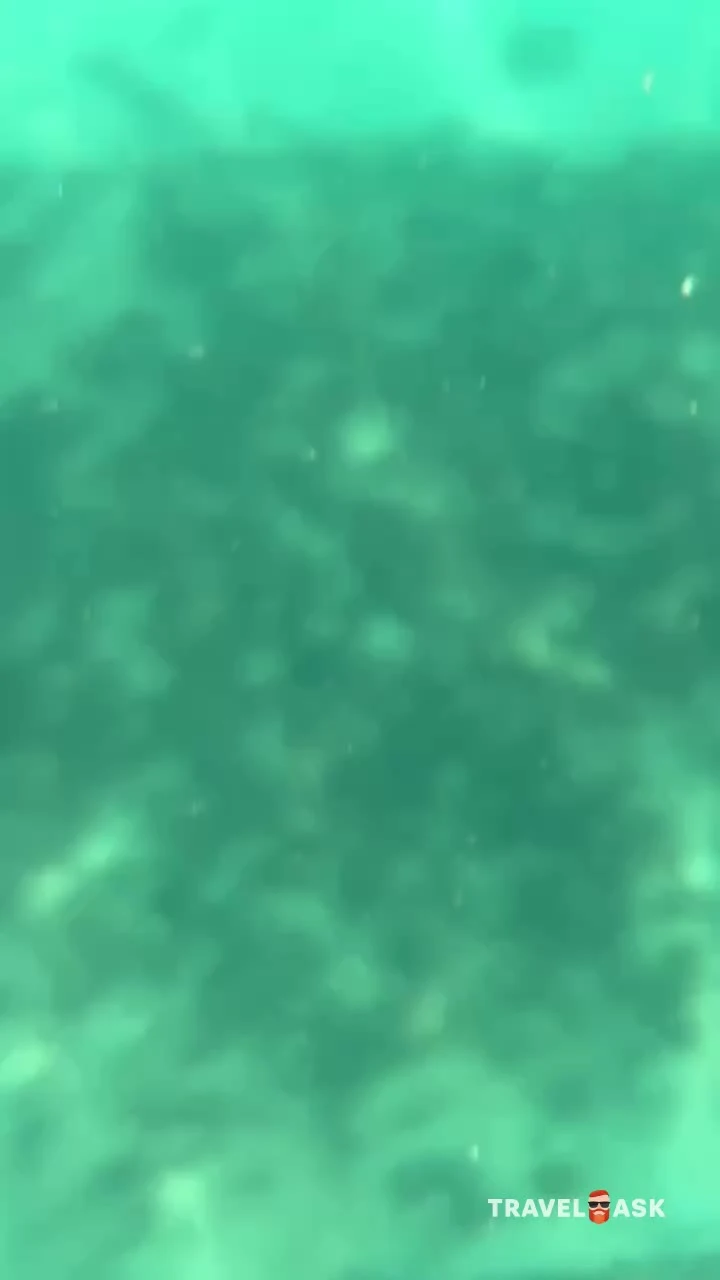 video__preview