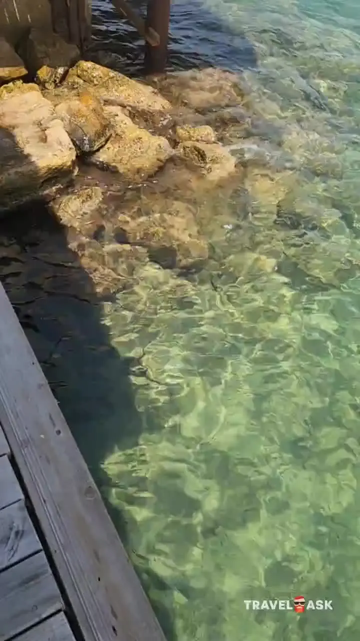 Selectum Colours Bodrum (Ex.Asteria Bodrum Resort)