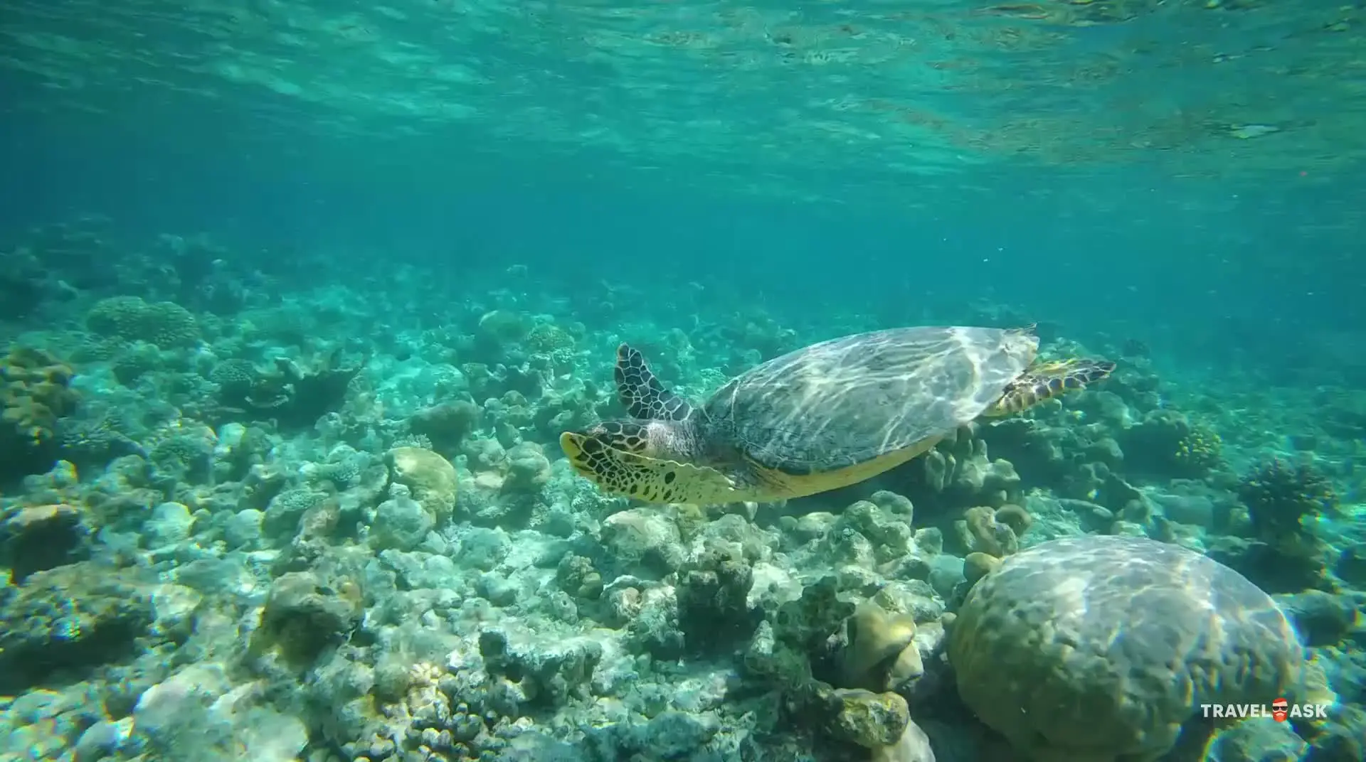 Nooe Maldives Kunaavashi