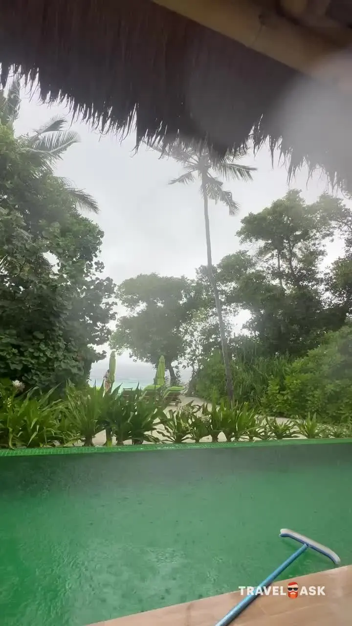 video__preview