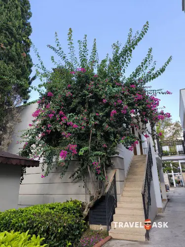 Sherwood Exclusive Kemer (Ex. Sherwood Club Kemer)