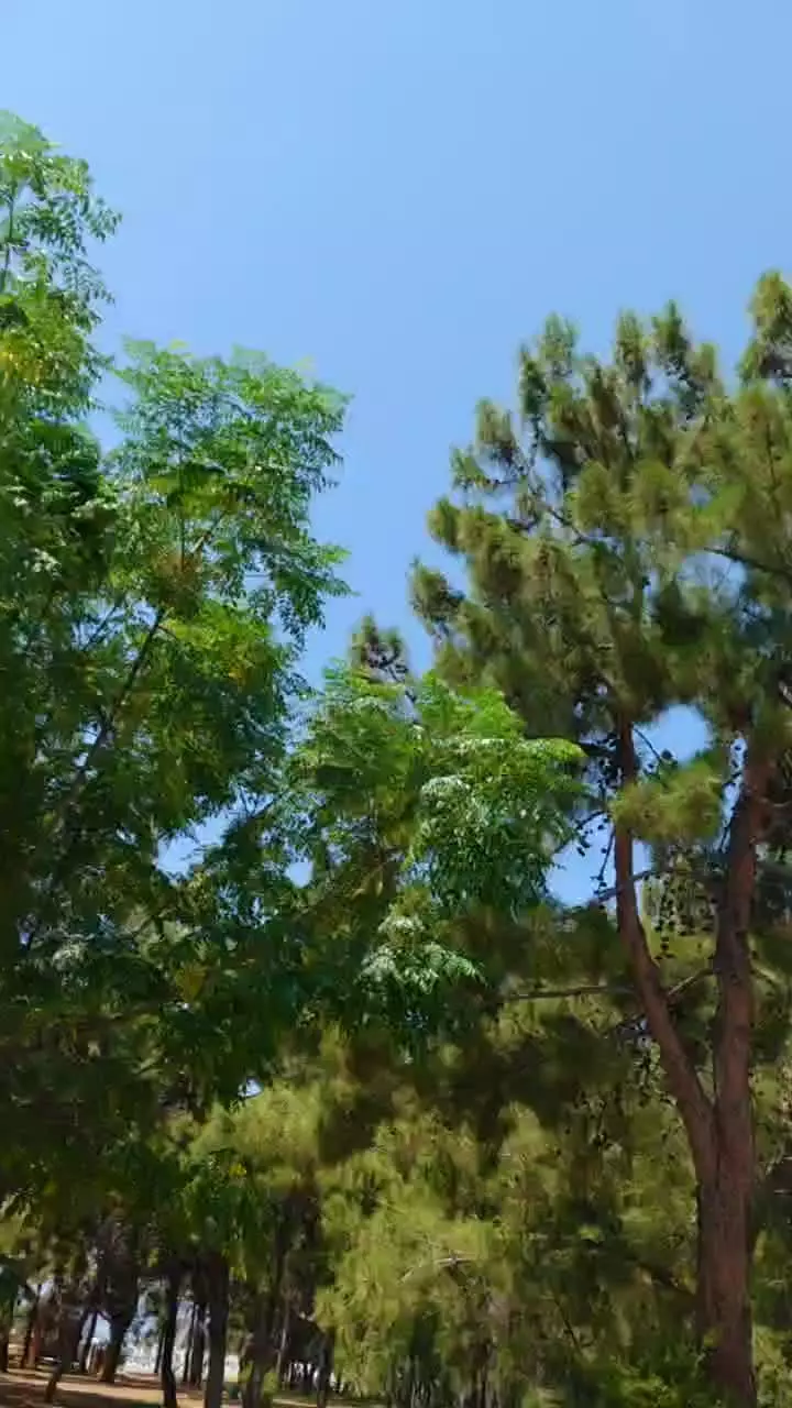video__preview
