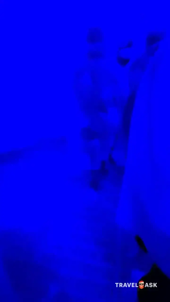 video__preview