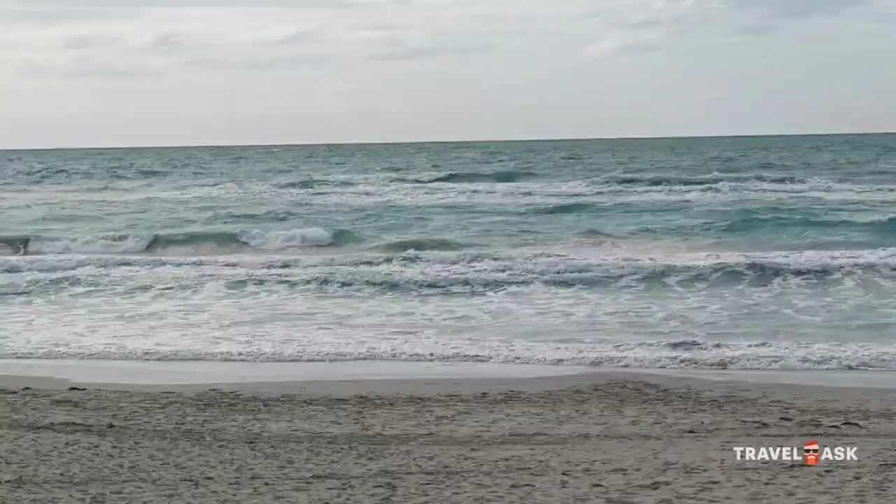 video__preview