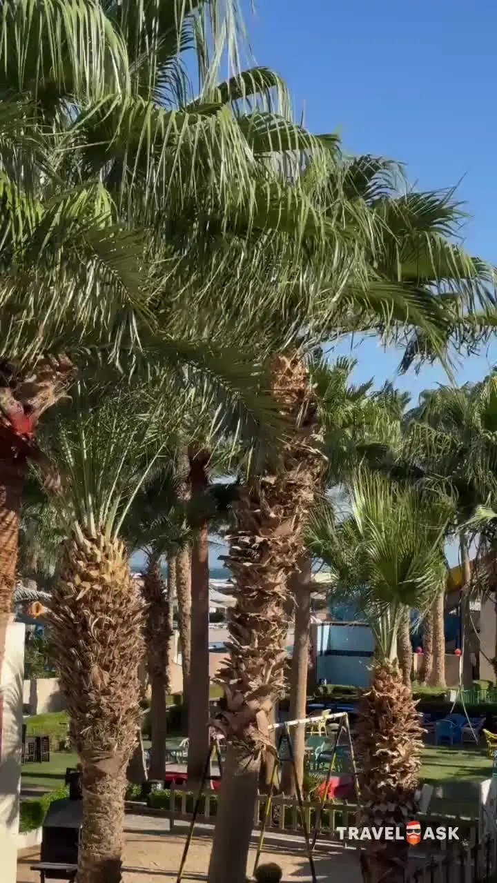 video__preview