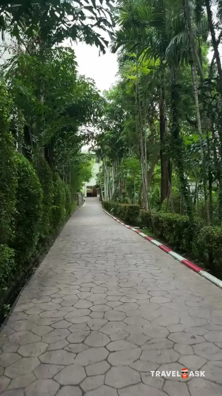 video__preview