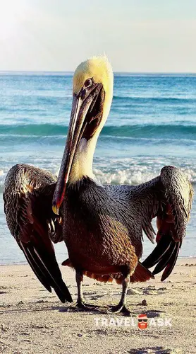 Las Morlas Hotel (Ex. Be Live Experience Las Morlas)