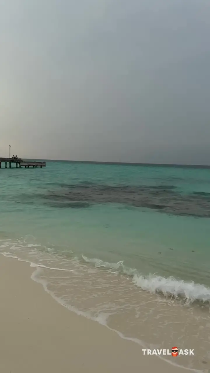 video__preview