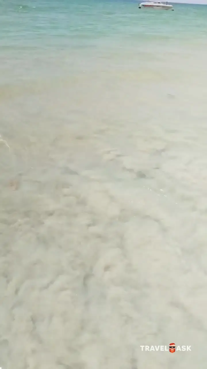 video__preview