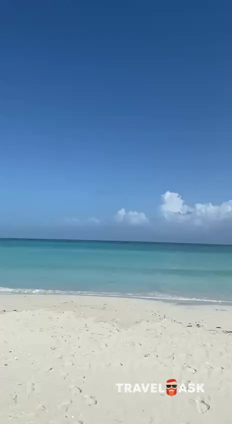 video__preview