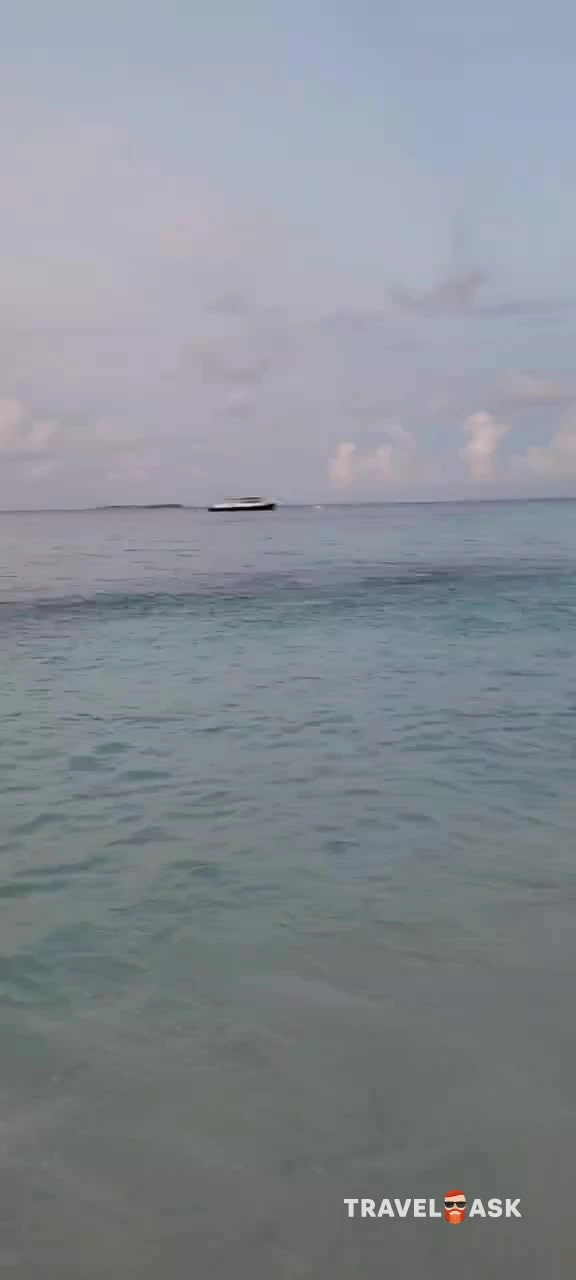 video__preview