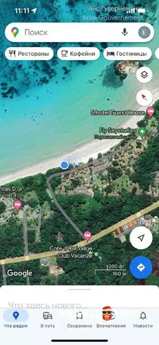 Heliconia Grove