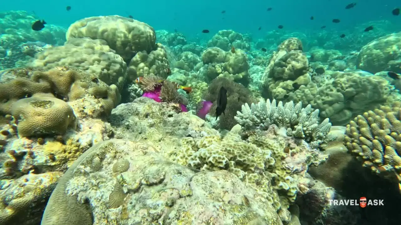 Filitheyo Island Resort