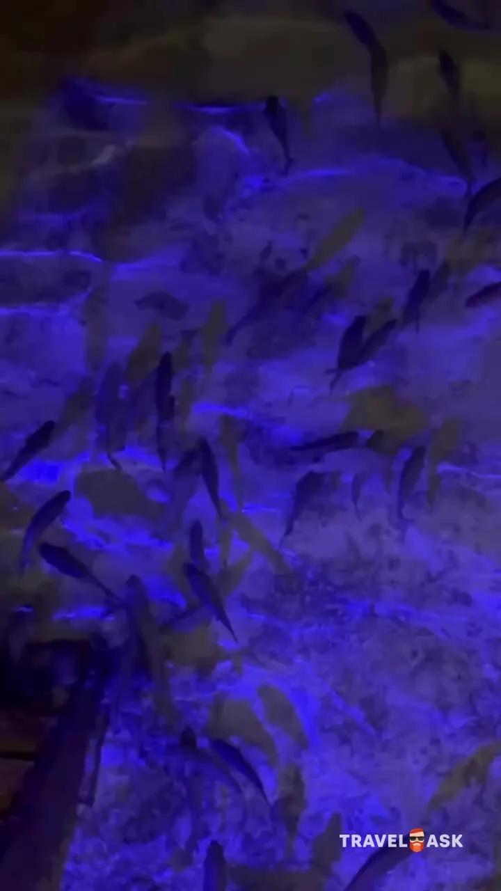 video__preview
