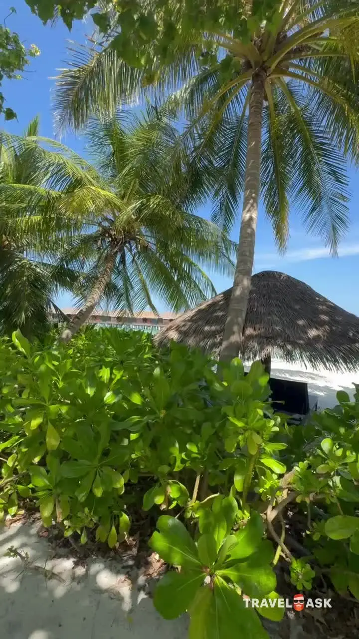 video__preview